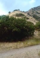 Site where the Battle Creek massacre took plce, Pleasant Grove, Utah