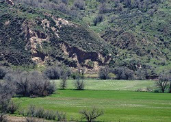 Site of the Bear River Massacre in 1863. Photographer Tracey Dunkley.