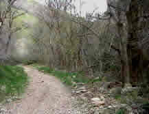 Maple Canyon above Mapleton, Utah.